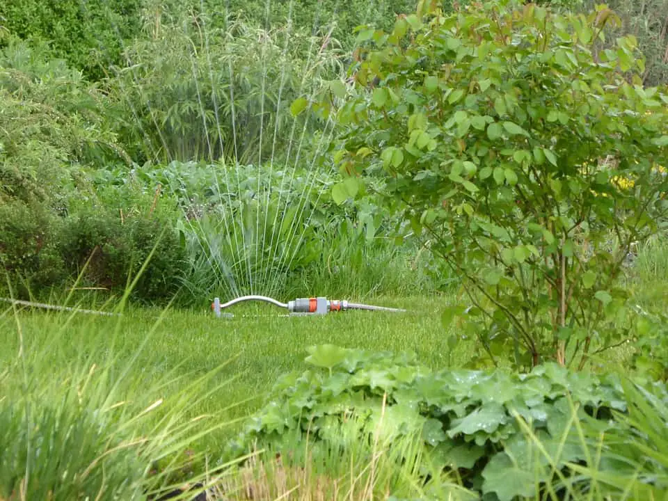 best backyard sprinkler