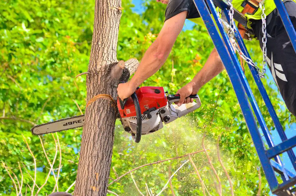 best gas-powered chainsaws