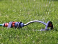 Top 7 Best Lawn Sprinklers for Your Backyard in 2021.