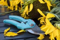 Top 8 Best Pruning Shears for Your Garden in 2021