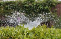 10 Smart Irrigation Tips for Your Vegetable Garden