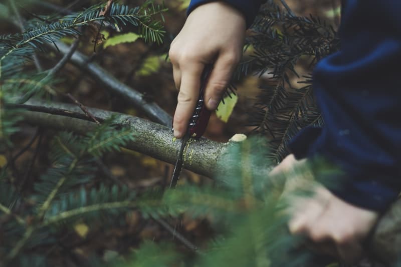 Best hand pruning saw