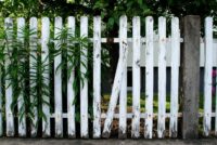 The Uses Types and Costs of Landscape Fences