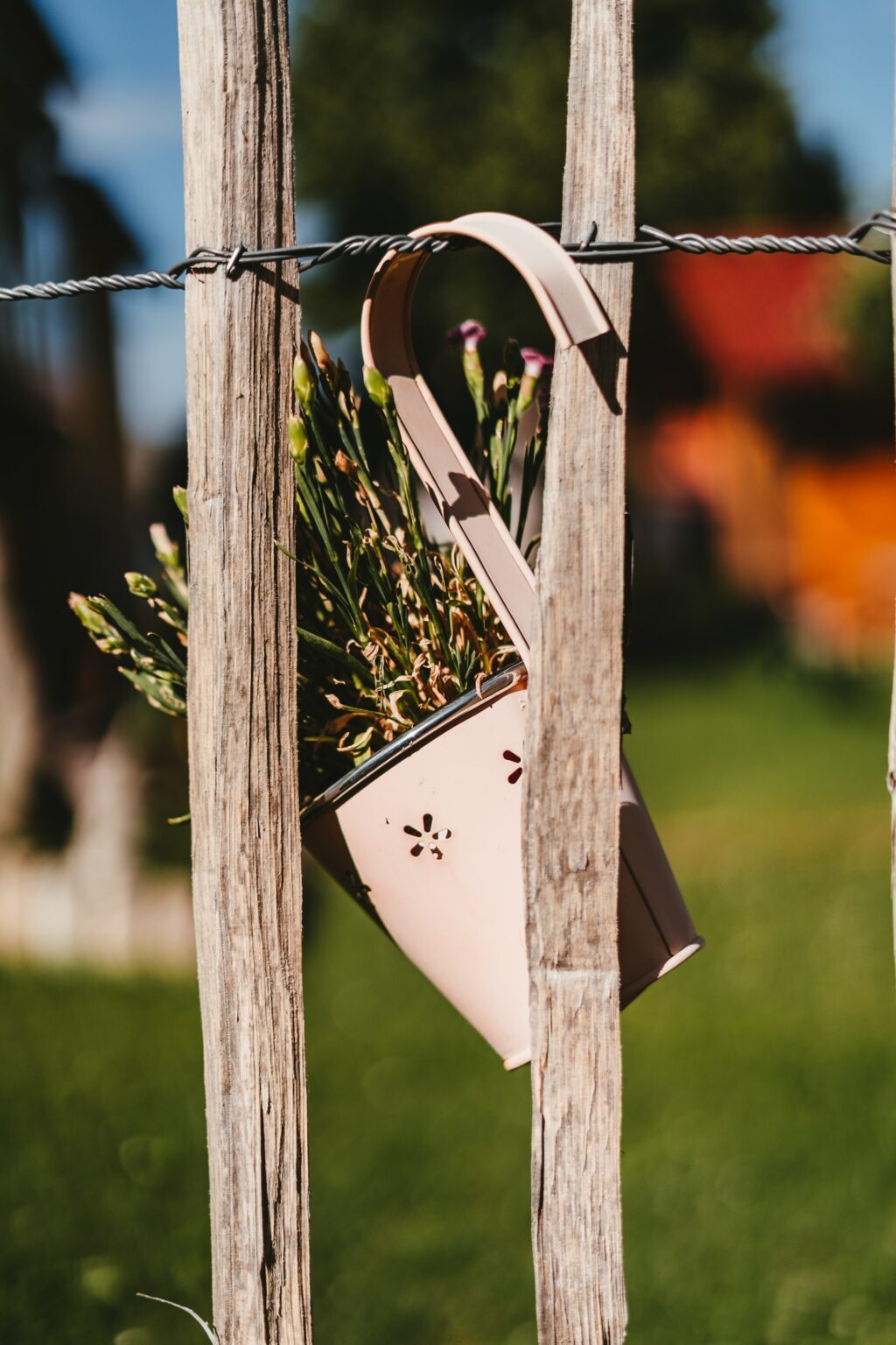 Cheap Hardscape Ideas BudgetFriendly but Beautiful Landscape Fix